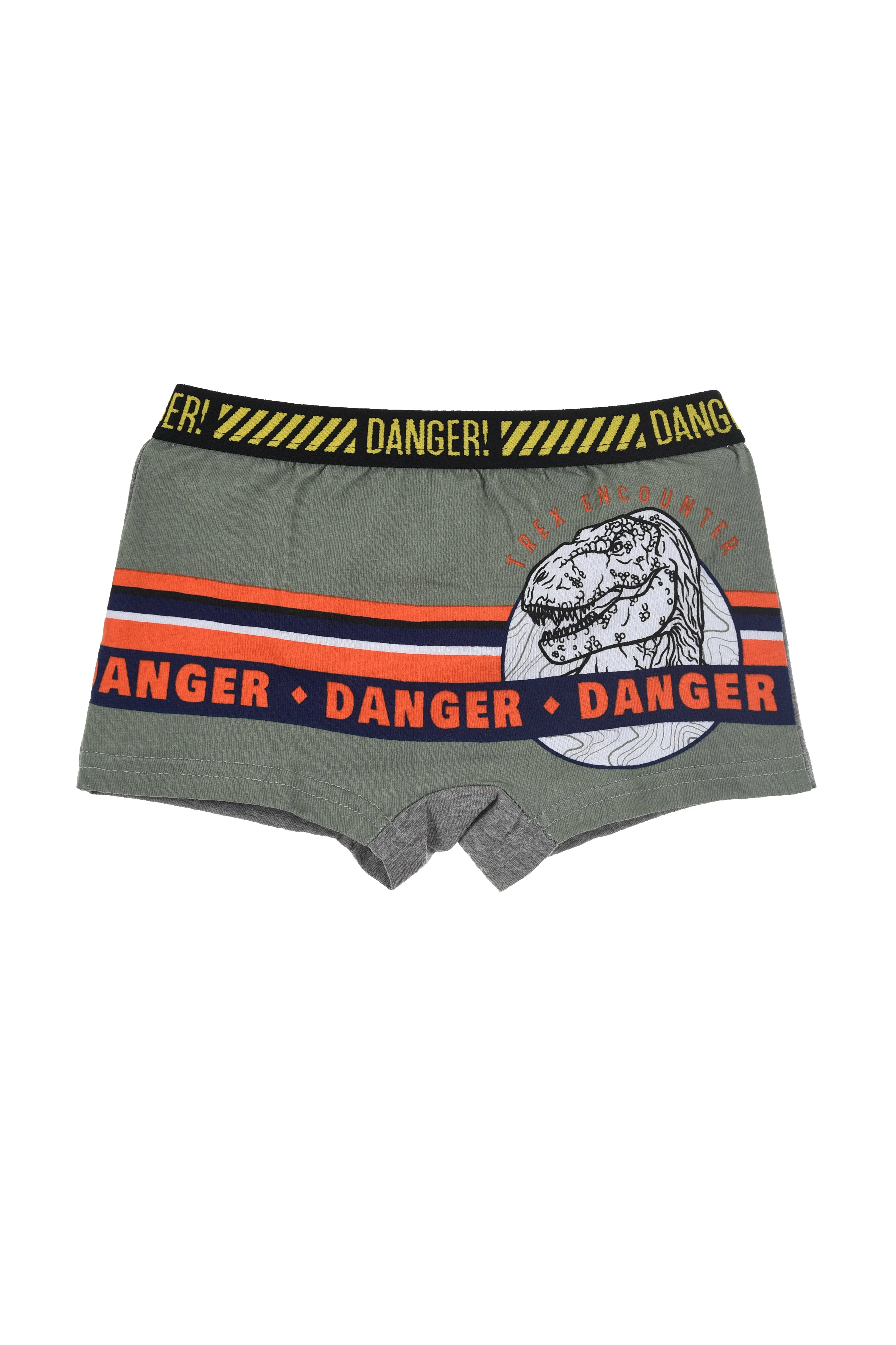 Jurassic World Organic Cotton Boys Boxer Shorts 2Pk Khaki