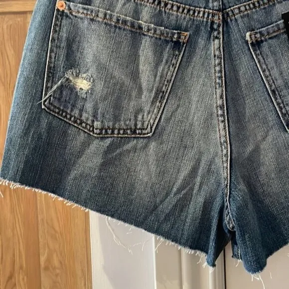 Modern American east side high waist cut off denim shorts in Durango